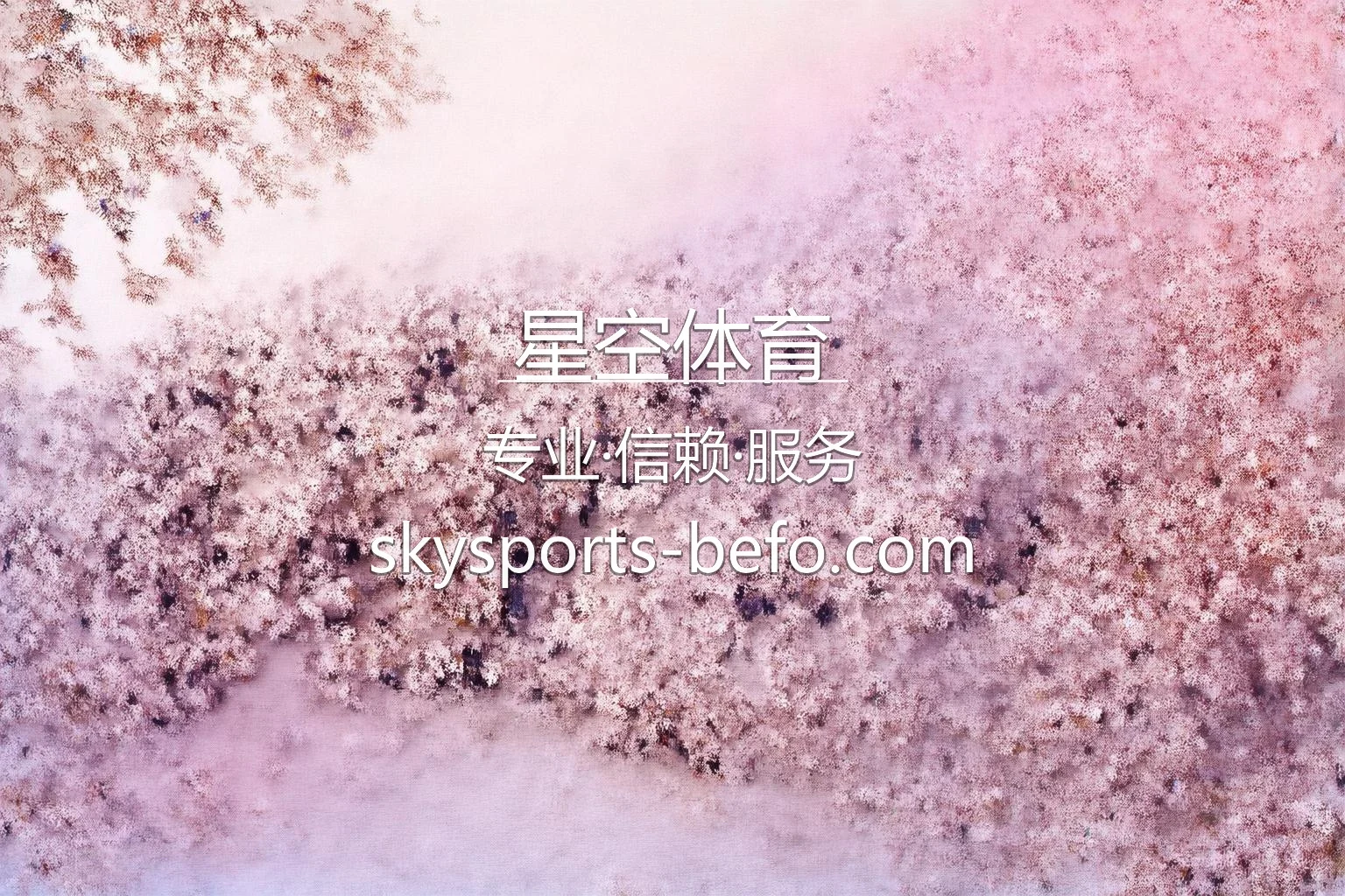 星空体育官网赛事直播与真人互动体验